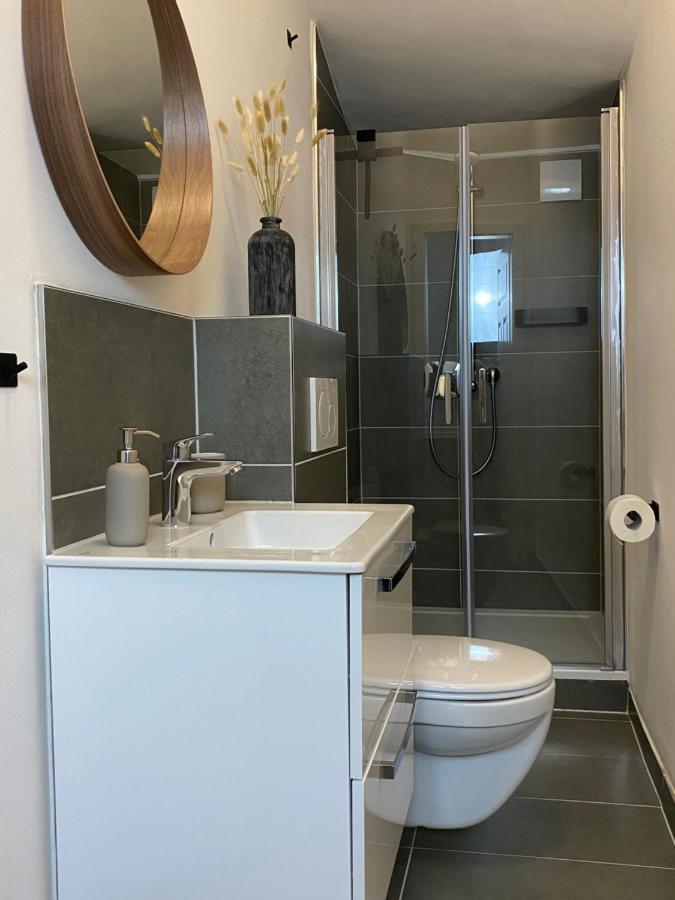 شقة Direct Moselle View 200M² 4 Sz 10Pers Terrace سانكت ديجيوند المظهر الخارجي الصورة